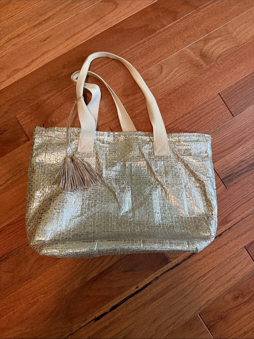 Metallic silver insulated Tote Bag with Tassel Accent. Magid